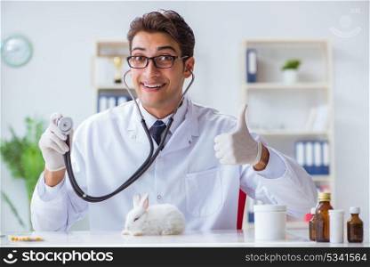 Vet doctor examining rabbit in pet hospital