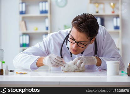 Vet doctor examining rabbit in pet hospital