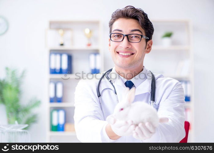 Vet doctor examining rabbit in pet hospital