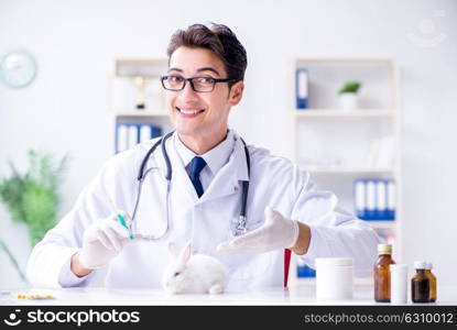 Vet doctor examining rabbit in pet hospital