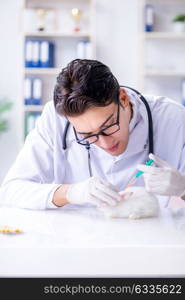 Vet doctor examining rabbit in pet hospital