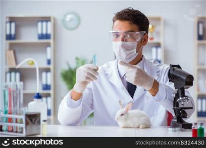 Vet doctor examining rabbit in pet hospital. The vet doctor examining rabbit in pet hospital