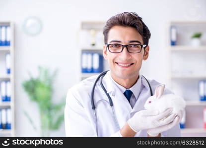 Vet doctor examining rabbit in pet hospital. The vet doctor examining rabbit in pet hospital