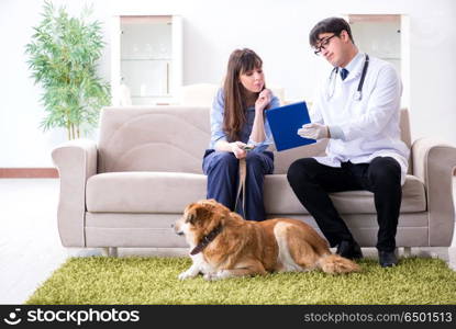 Vet doctor visiting golden retriever dog at home