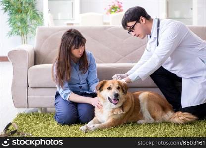 Vet doctor visiting golden retriever dog at home
