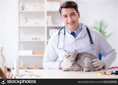 Vet examining sick cat in hospital