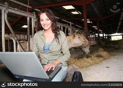 Veterinarian in barn with laptop computer