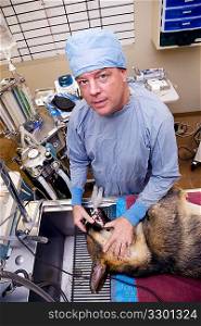 Veterinarian with dog pre-operation