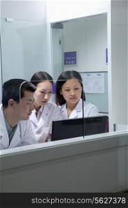 Veterinarians looking at computer screen