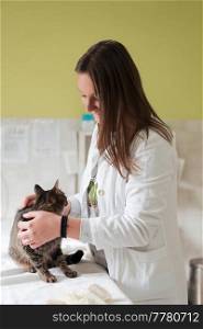 Veterinary clinic. Female doctor portrait at the animal hospital holding cute sick cat ready for veterinary examination and treatment . Veterinary clinic. Female doctor portrait at the animal hospital holding cute sick cat 