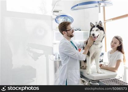 Veterinary doctor examining husky by girl standing at clinic
