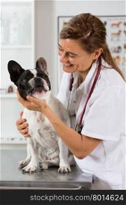 Veterinary hugging a french bulldog and reassuring for review