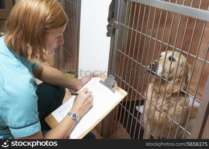 Veterinary Nurse Checking On Dog In Cage