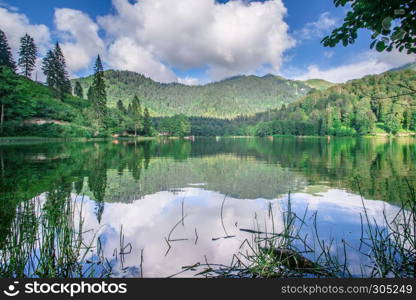 Vew of Karagol (Black lake) a popular destination for tourists,locals,campers and travelers in Eastern Black Sea,Savsat, Artvin, Turkey. Landscape view of Karagol (Black lake) in Savsat,Artvin,Turkey