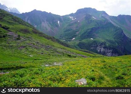 Via Alpina trail in green valley in mountain area in Lichtenstein