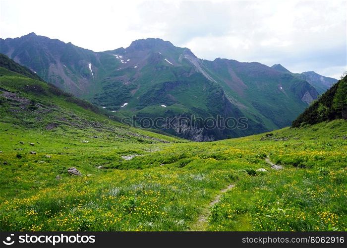 Via Alpina trail in green valley in mountain area in Lichtenstein