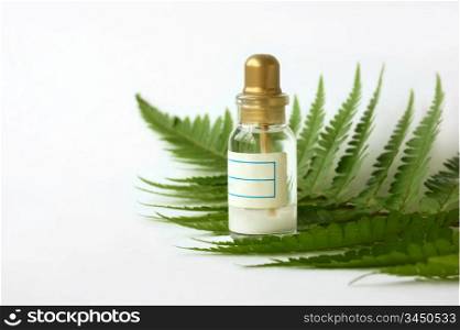 vial with the medicine and leaf fern