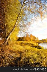 Vibrant autumn on the river at sunrise