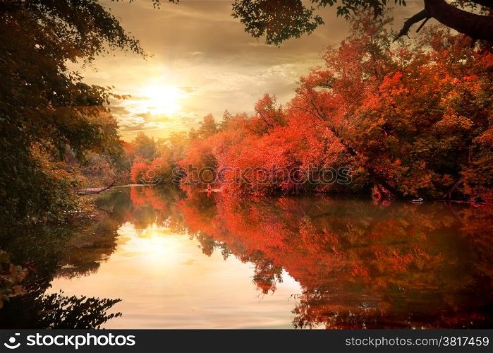 Vibrant colors of the autumn forest at sunset