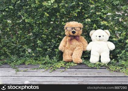 Vibrant outdoor photo of teddy bear sitting on the yard at the park with the white flower and green grasses
