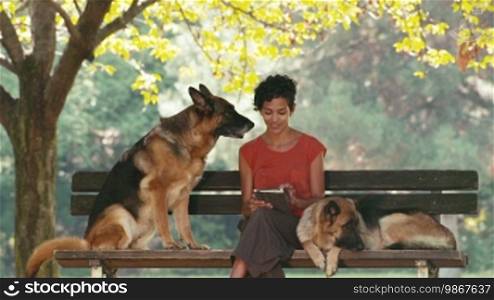 13 of 15: Young people, wifi technology and pets - portrait of a happy Hispanic girl at work as a dog sitter with Alsatian dogs in the park, using a digital tablet PC for internet and email.