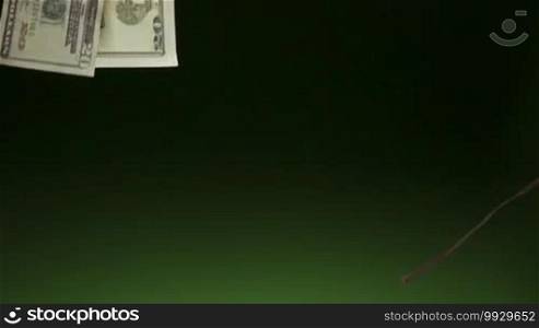 20 dollars bills falling on green background. Concept of lottery winnings, success, wealth, money, cash. Super slow motion 240p