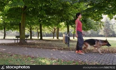 7 of 15 people working as dog sitters, a young woman with a German Shepherd dog in the park. Dog walking, girl throwing poop bag in rubbish basket.