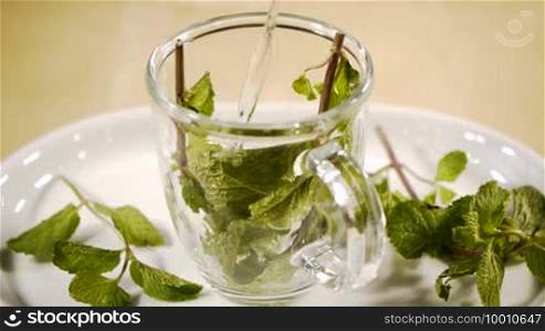 A transparent cup filled with mint leaves is filled with hot water, great green color and lightning
