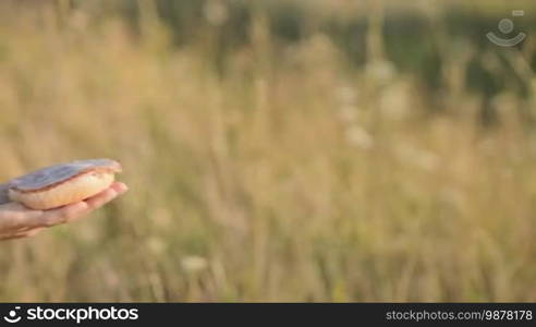 A woman gives a sandwich to a little girl in the hands on nature. Close-up of female hands and a sandwich. Slow motion.