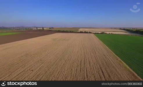 Across a wheat field seen by drone.