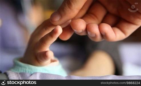 Adult's hand and newborn baby's hand.
