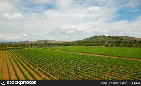 Aerial flight over the grape fields. Aerial view with background of blue sky and clouds in Tuscany, Italy