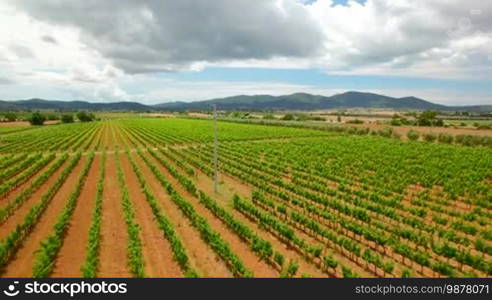 Aerial flight over the grape fields. Aerial view with background of blue sky and clouds in Tuscany, Italy