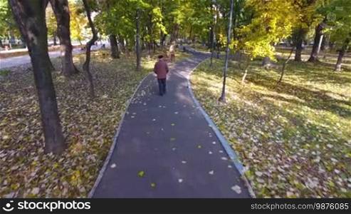 Aerial footage of an elderly man walking alone in the park in autumn.