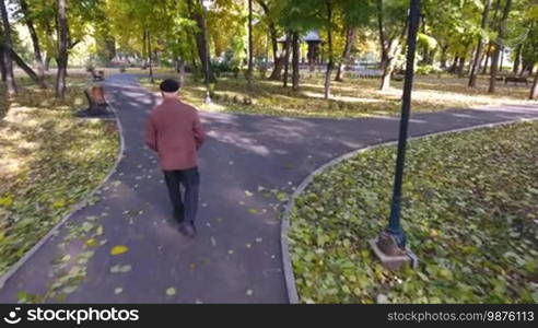 Aerial footage of an elderly man walking alone in the park in autumn.