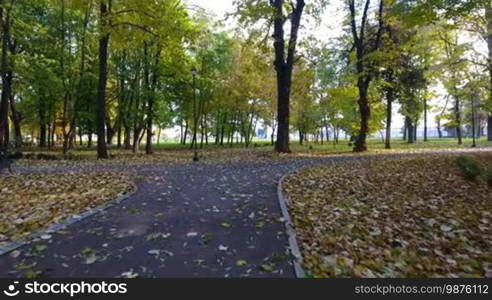 Aerial footage of autumnal nature scenery in city park. Beauty nature scene at fall season and empty benches.