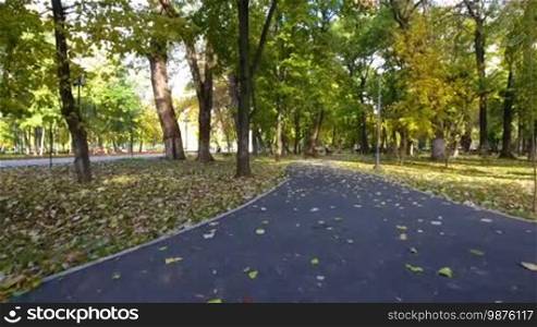 Aerial footage of autumnal nature scenery in city park. Beauty nature scene at fall season and empty benches.