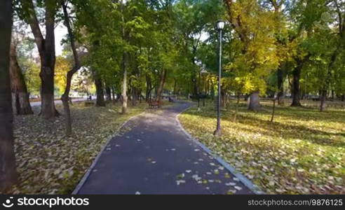 Aerial footage of autumnal nature scenery in city park. Beauty nature scene at fall season and empty benches.