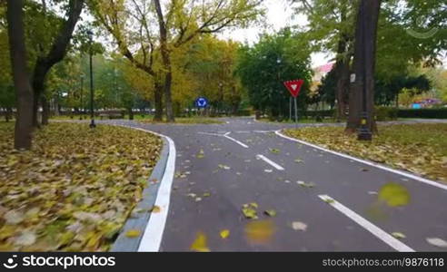 Aerial footage of road signs for the ride cyclists in city park with fallen autumn leaves.