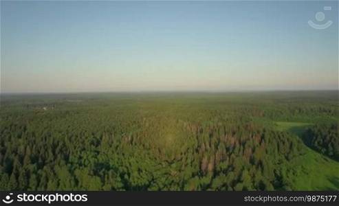 Aerial panorama of green woods. Vast expanses of wild nature and forests in Russia