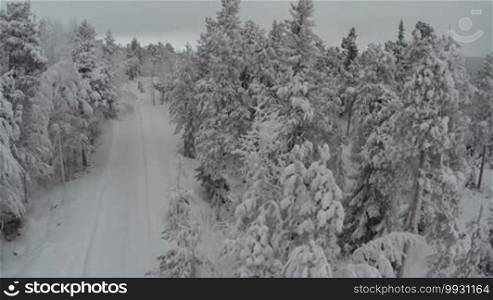 Aerial shot of a road in pine wood leading to winter recreation by the lake. Nature scene with snow-covered trees