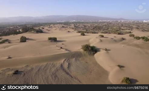 Aerial shot of sandy areas with green plants and bushes. Nature scene of Gran Canaria, Canary Islands