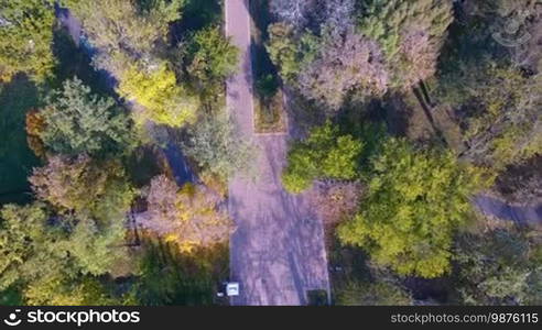 Aerial view of autumnal nature scenery in city park. Beauty nature scene at fall season.