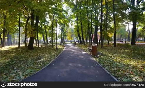 Aerial view of autumnal nature scenery in city park. Beauty nature scene at fall season.