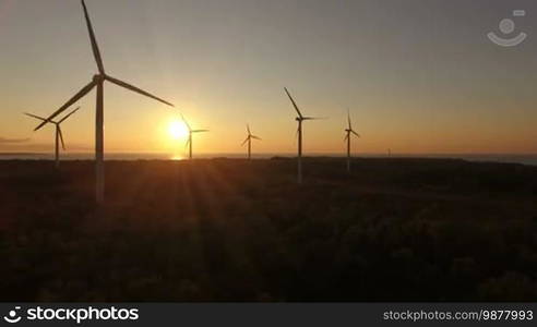 Aerial view of wind generators in the evening sky on the field. Wind generators rotate blades and extract electricity