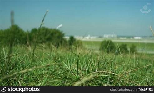 Airport seen from the surroundings, in the background a plane is taking off, in the foreground blades of grass are blowing in the wind