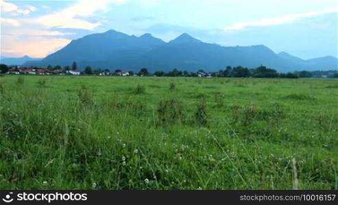 Alps, Bavarian landscape with large meadow in front, grass sways in the wind