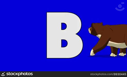 Animated animal alphabet. HD footage with chroma key. Animal in a background of letter