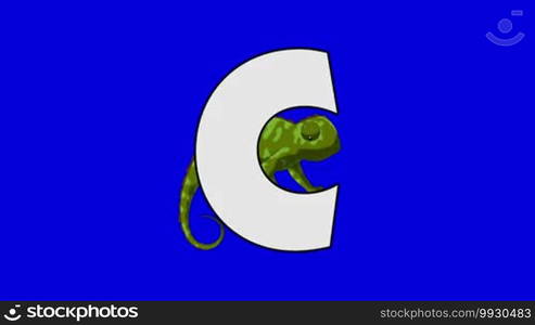 Animated animal alphabet. HD footage with chroma key. Animal in a background of letter