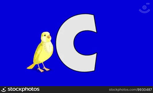 Animated animal alphabet. HD footage with chroma key. Animal in a background of letter